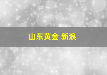 山东黄金 新浪